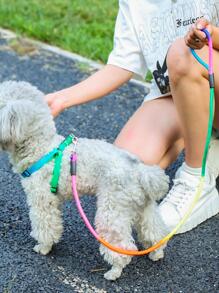 1入組牽繩與1入組胸背帶,尼龍彩色寵物牽繩行走套裝,適用於狗狗,遠足、戶外活動、牽引用途 - 彩色 - 查看 2