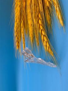 卡通精美刺猬透明矽膠印章和金屬模切片緊貼式剪貼簿diy可愛圖案相片集 - 無色 - 查看 2