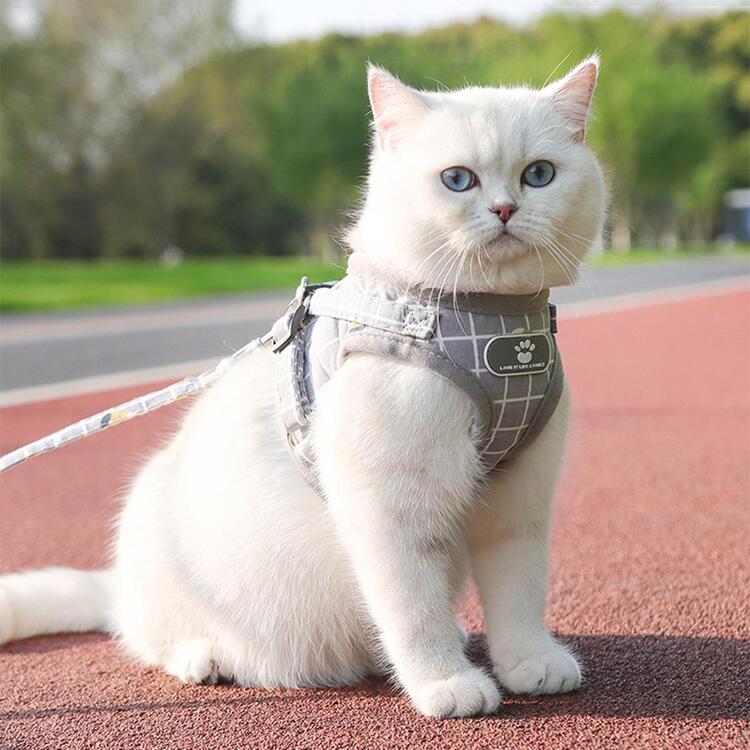 2 ชิ้น ลายสก็อต สายรัด สัตว์เลี้ยง & สายจูง เซ็ต - สีเทา - ดู 1