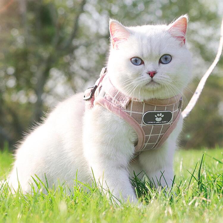 2 ชิ้น ลายสก็อต สายรัด สัตว์เลี้ยง & สายจูง เซ็ต - สีเทา - ดู 3