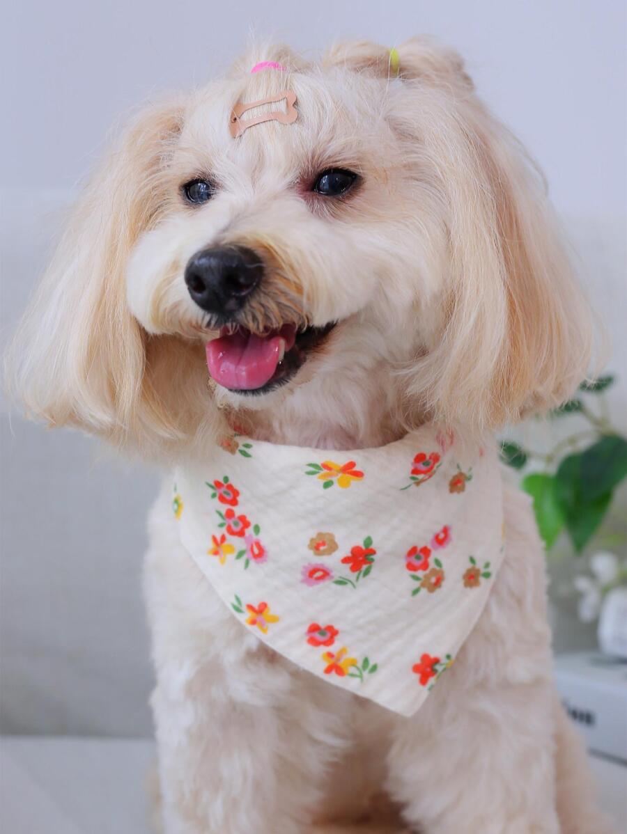 1入組搭扣熊圖案寵物方巾,合適適用於貓和小狗在四季 - 彩色 - 查看 1