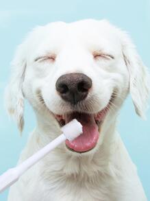 1pc Pet Training Toothbrush - White - View 1