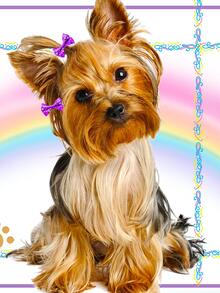 20pcs Bow Design Pet Hair Tie - Purple - View 3