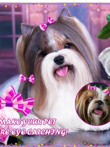 20pcs Bow Design Pet Hair Tie - Purple - View 5