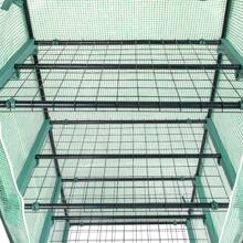 69x49x160cm Black Iron Pipe Pointed Mini Flower Stand With 4 Layers Of Grid, With Zipper Rolling Door, PE Cloth Green House - màu xanh lá - Xem 7