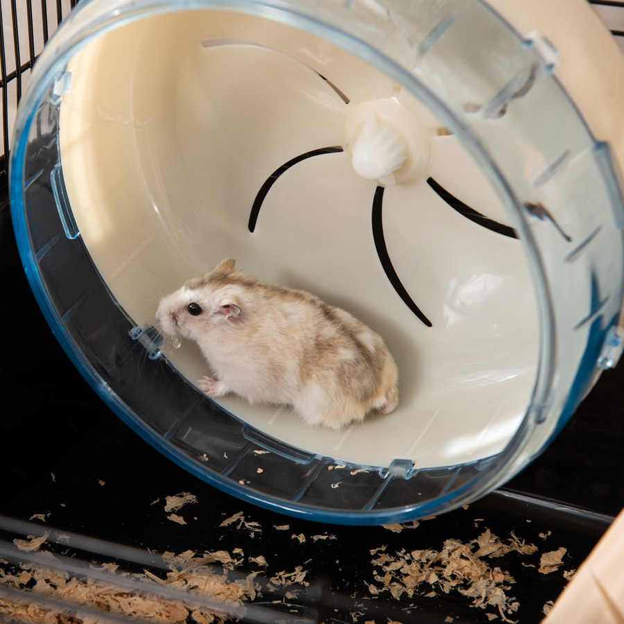 PawHut 2Tier Hamster Cage, Small Animal Habitat for Rats, Gerbils