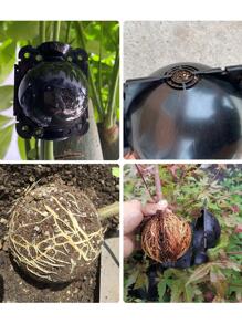 1入組植物嫁接盒