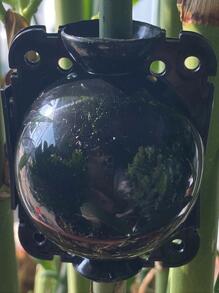 1入組植物嫁接盒