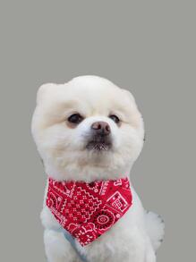 1入組卡通花朵圖案寵物流口水圍兜適用於貓&狗狗