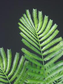 1入組人造熱帶印花植物帶18樹葉適用於家庭裝飾用品 - 黃色 - 查看 5