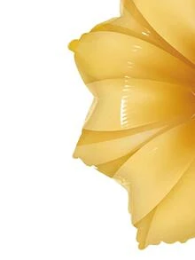 1 pieza Globo decorativo con diseño de flor - Amarillo - Ver 4