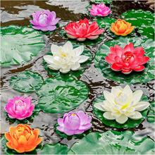 5 bông sen nhân tạo PE - Nhiều màu - Xem 1
