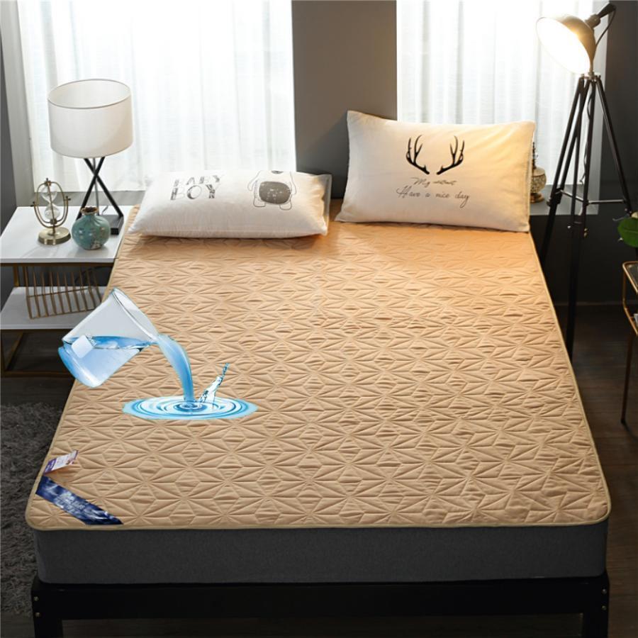 1 tấm đồng màu - Lạc đà - Xem 1
