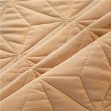 1 tấm đồng màu - Lạc đà - Xem 6