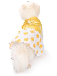 LaiFug 3入組小型女狗狗裝,設計師狗狗服飾,節日裝,狗狗派對裝 - 彩色 - 查看 4