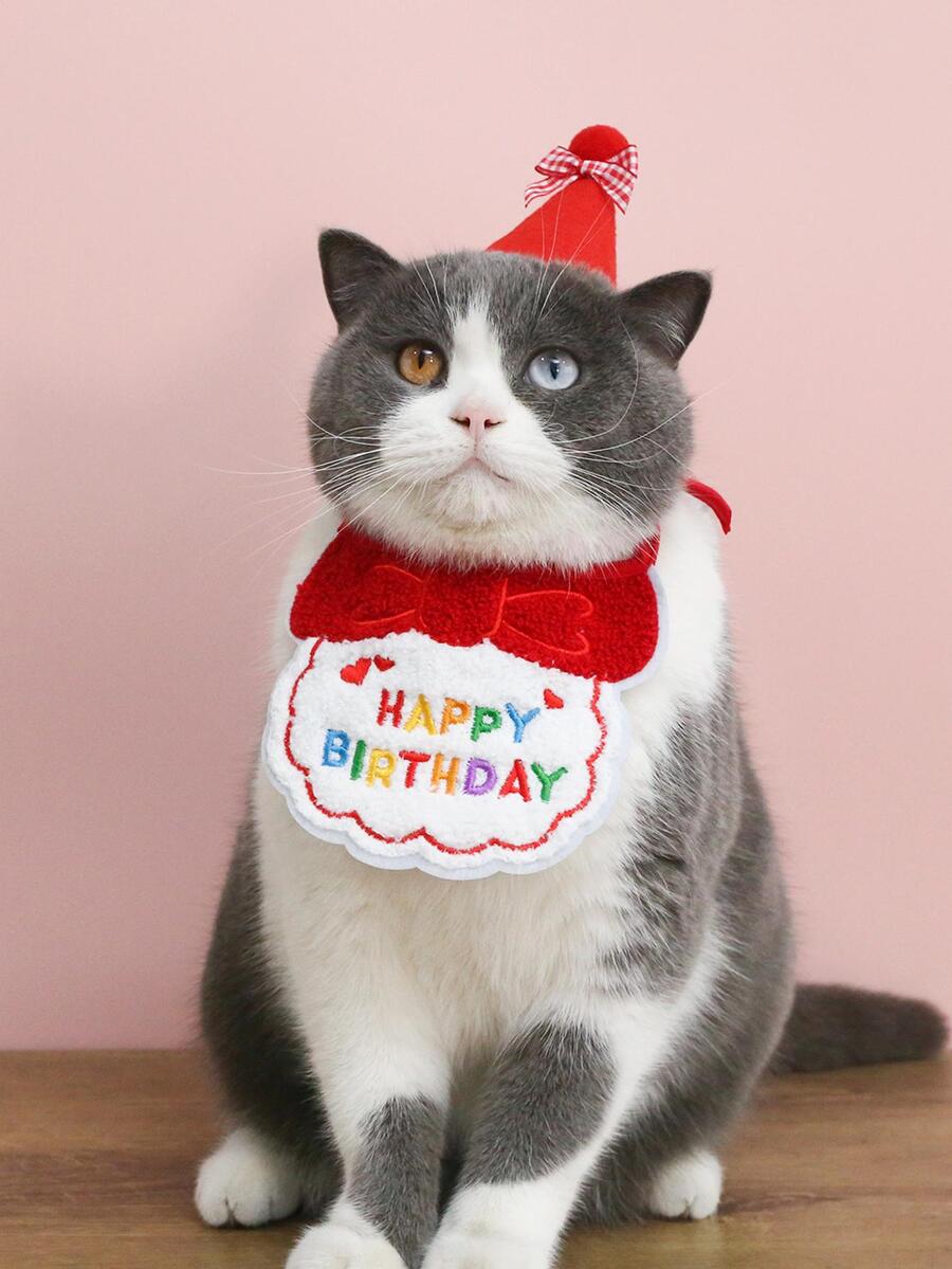1 Set Of Birthday Hat And Pet Dog Saliva Towel, 2pcs - Red - View 1