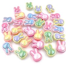 5 piezas/set dulce PMMA con diseño de conejo Cuenta DIY para mujeres para diariamente Fabricación de joyas - Multicolor - Ver 1