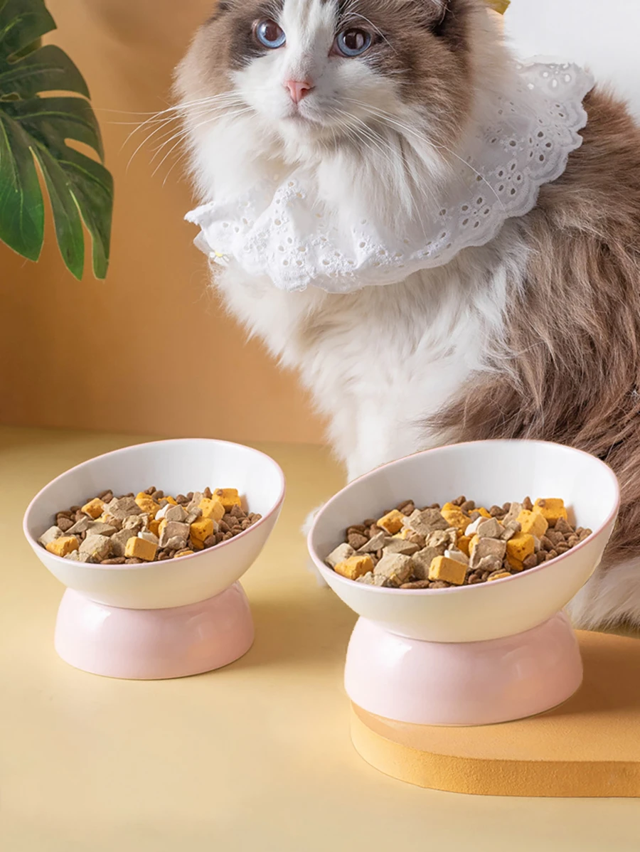 1只陶瓷抬高的貓碗,具有脊椎保護設計 - 彩色 - 查看 1