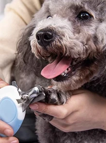 1 Piece Smooth Pet Nail Clippers Dogs And Cats Small And Large Sizes In Two Colors - Blue - View 3
