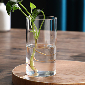 1入組透明玻璃水培花瓶