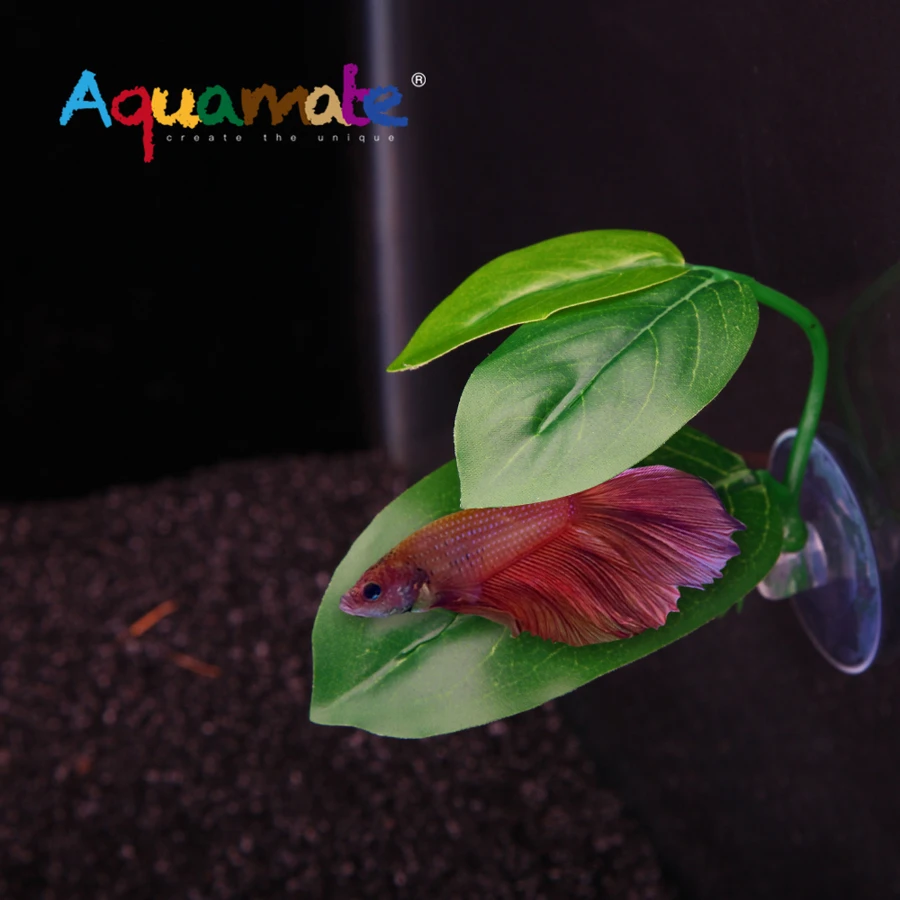 Artificial Plant - Betta Fish Rest Leaves - Green - View 1