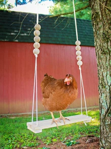 1入組雞設計戶外吊床 - 黃色 - 查看 1