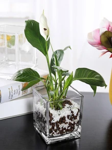 1 pieza Taza creativo hecho a mano flor seca aromaterapia Vela cuadrado DIY de vidrio