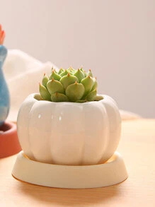 2入組塑膠花盆排水盤子 - 白色 - 查看 3