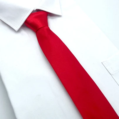 1pc Men Solid Tie For Wedding And Business Use Casual Men Necktie