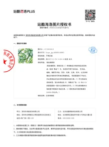 Màu nước Nhiệt đới Lá cọ Bóc Và Gậy Hình nền , Có thể tháo rời Giấy dán tường , Đẹp Thực vật Bức tranh tường Nhà  Trang trí Treo tranh Trang trí tường - Nhiều màu - Xem 9