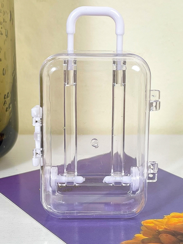 Clear & Minimalist Luggage Storage Box SHEIN USA