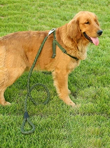 1 bộ dây đai, dây xích và cổ áo có thể điều chỉnh cho thú cưng - xanh quân đội - Xem 4