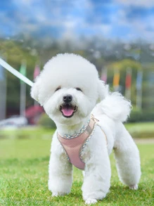 Pet Harness And Leash Set With Four Seasons Breathable Back Carry For Small Dogs - Pink - View 1