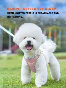 Pet Harness And Leash Set With Four Seasons Breathable Back Carry For Small Dogs - Pink - View 4