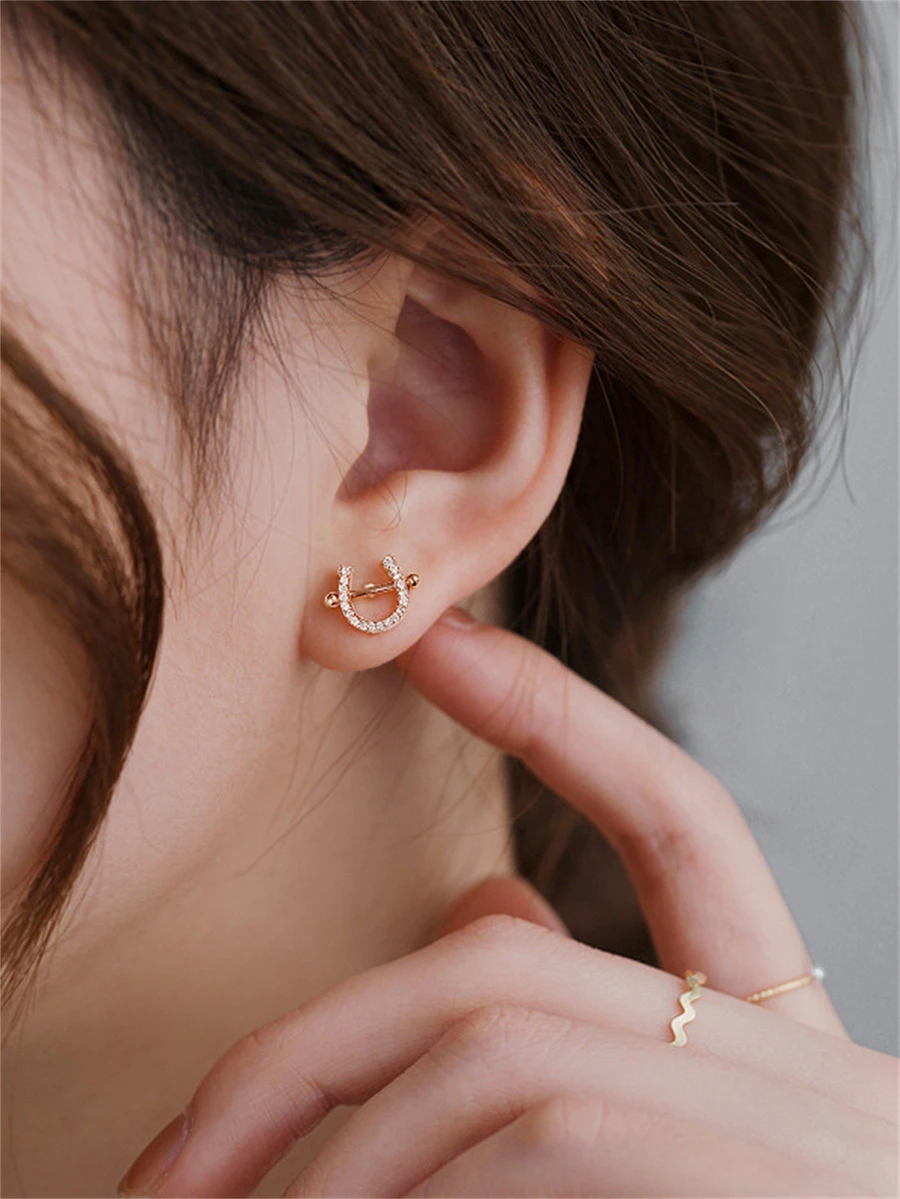 CHOSHILAR 1pair Horseshoe Design Cubic Zirconia Stud Earrings
