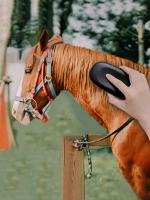 1pc Multifunctional Horse Tack Cleaning & Dusting Brush - Black - View 1