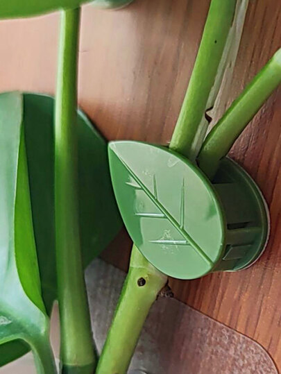 10 قطع ذاتية اللصق كرمة مشبك تأمين الى أخضر نباتات و حائط الصعود نباتات