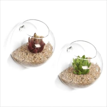 1入組透明掛壁式植物容器 - 無色 - 查看 5
