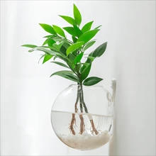 1入組透明掛壁式植物容器 - 無色 - 查看 2