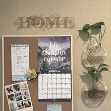 1入組透明掛壁式植物容器 - 無色 - 查看 7