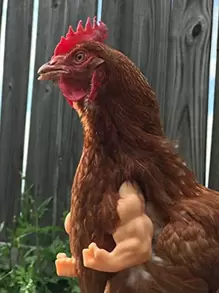 Rubber Chicken Wing Arm Decoration Muscle Arm - Apricot - View 1