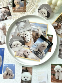 40入組/包迷人貓和狗狗寵物主題貼紙適用於日記DIY裝飾,剪貼簿和相簿用品 - 彩色 - 查看 1