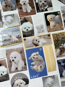 40入組/包迷人貓和狗狗寵物主題貼紙適用於日記DIY裝飾,剪貼簿和相簿用品 - 彩色 - 查看 3