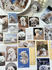 40入組/包迷人貓和狗狗寵物主題貼紙適用於日記DIY裝飾,剪貼簿和相簿用品 - 彩色 - 查看 2