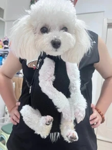 Túi Mèo Đi Chơi Di Động Cho Thú Cưng Chó Mèo Ba Lô Đeo Vai Chó Mèo Nhỏ Túi Vải Túi Mèo Cưng - màu đen - Xem 1