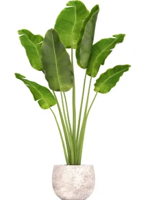 1 件贴纸绿色植物和盆栽植物墙贴花、贴纸、墙贴花、乙烯基贴花用于家居装饰、春季装饰品让您的家焕然一新、拉玛装饰贴纸礼物生日毕业 - 彩色 - 查看 5