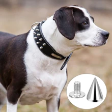 Pack of 100 Punk Rivets, 7 x 10 mm, Rustproof Decorative Rivets, Clothing Screw Rivets, DIY Rivets, Screw-On Rivets, Metal Gothic Spikes, Decorative Rivets, Pointed Rivets for Bags, Clothes, Shoes