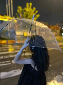 1 pieza Paraguas transparente - transparente - Ver 1