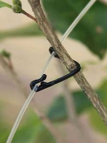 50pcs Plastic Plant Fixing Clip For Tomato Support & Grape Frame & Vineyard Mesh Buckle & Horticultural Agriculture Binding Line - Black - View 3