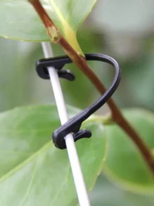 50pcs Plastic Plant Fixing Clip For Tomato Support & Grape Frame & Vineyard Mesh Buckle & Horticultural Agriculture Binding Line - Black - View 4